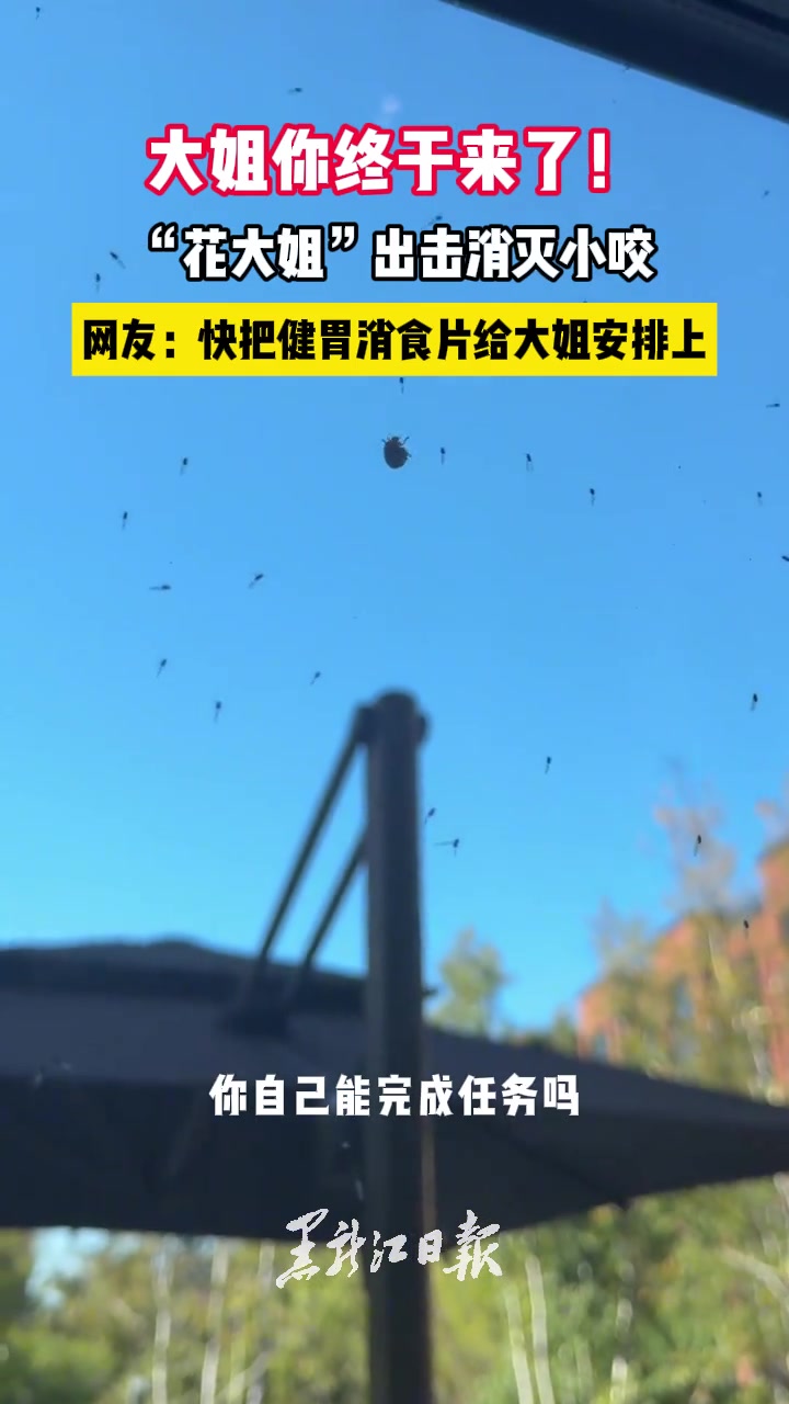 最喜欢花大姐的一集！