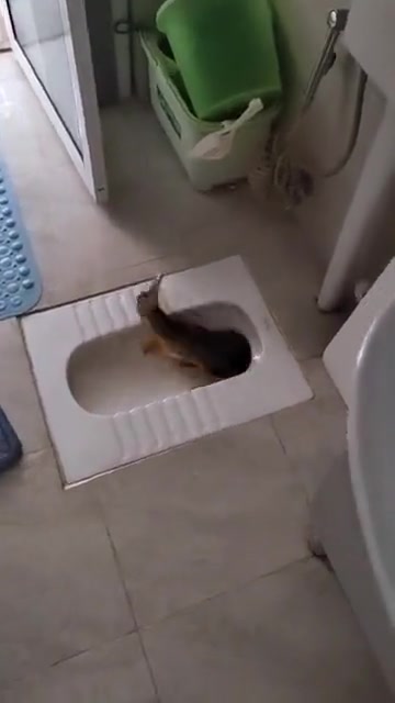 钓鱼佬最悲伤的一集！鱼：讲究不我自己调味！