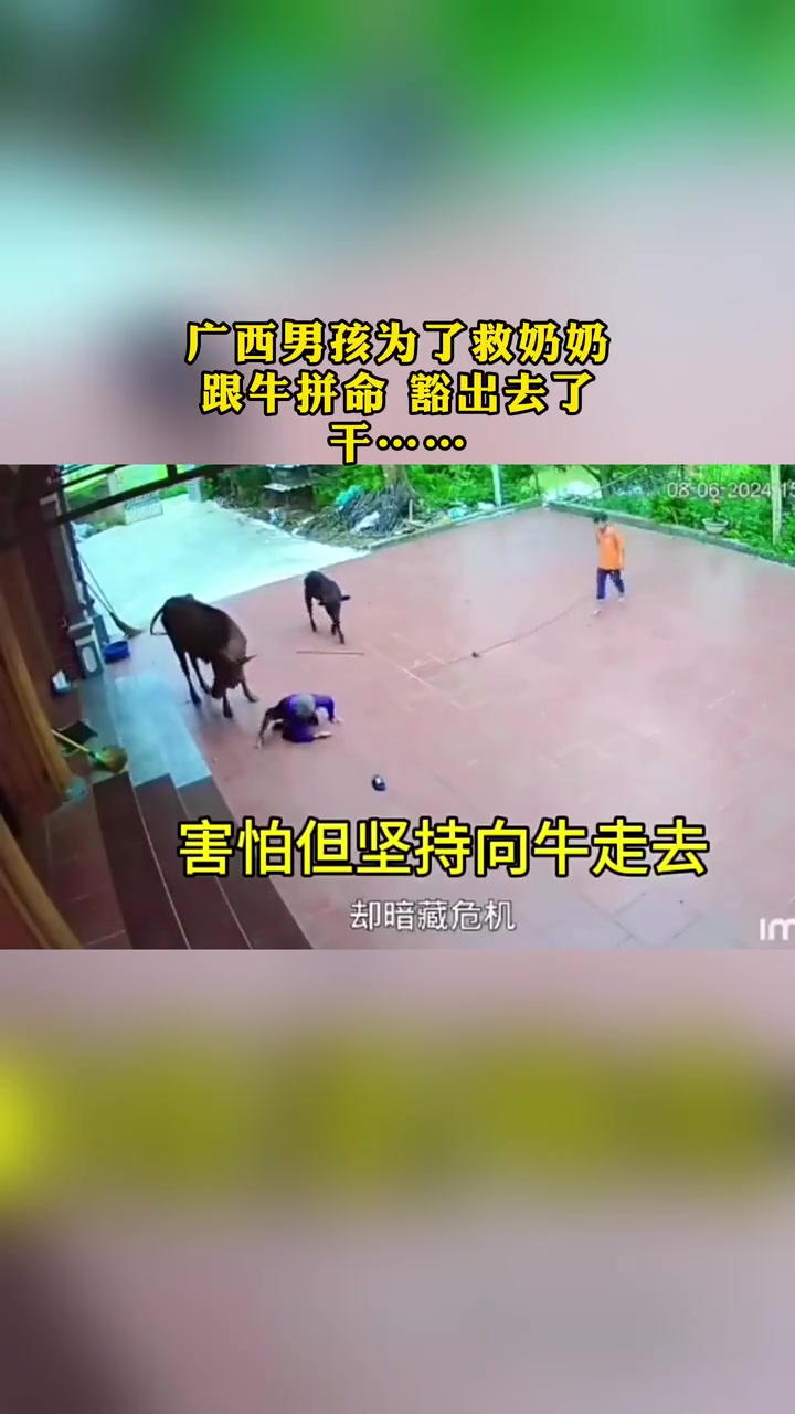 男孩为了救奶奶，豁出去了跟牛拼了！！！