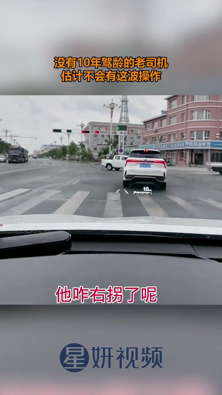没有10年驾龄的老司机，估计不会有这波操作