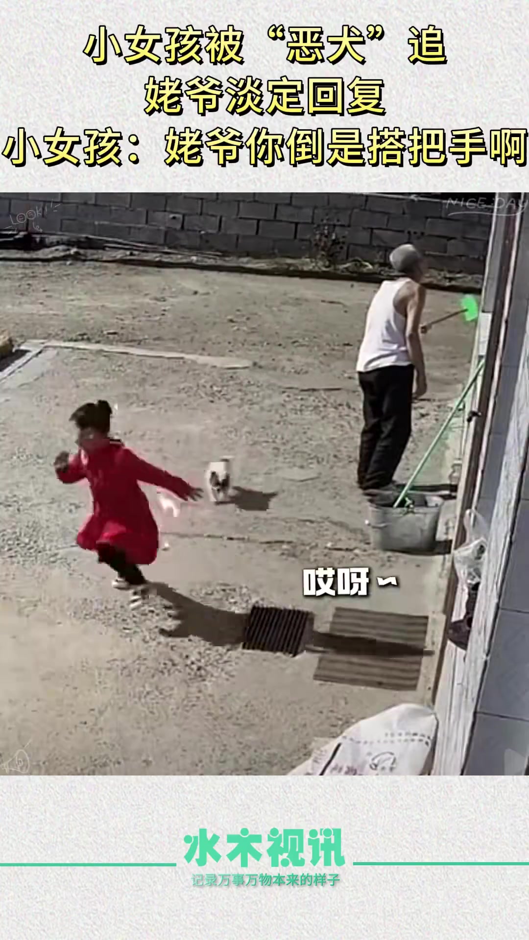 这种追着女童跑的恶犬决不能留！建议寄给我，我帮你除去这个孽障