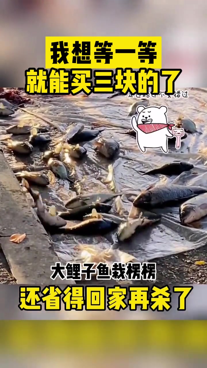 网友：我觉得等一等买三块的更划算