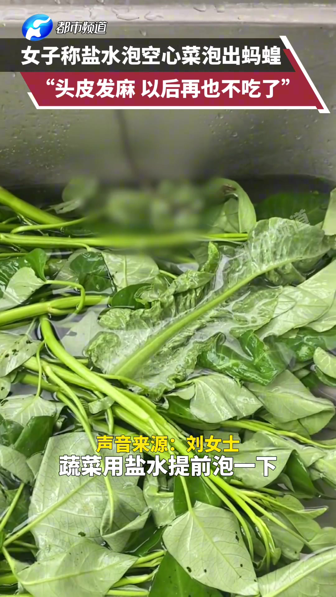 女子称盐水泡空心菜泡出蚂蝗，“头皮发麻，以后再也不吃了”