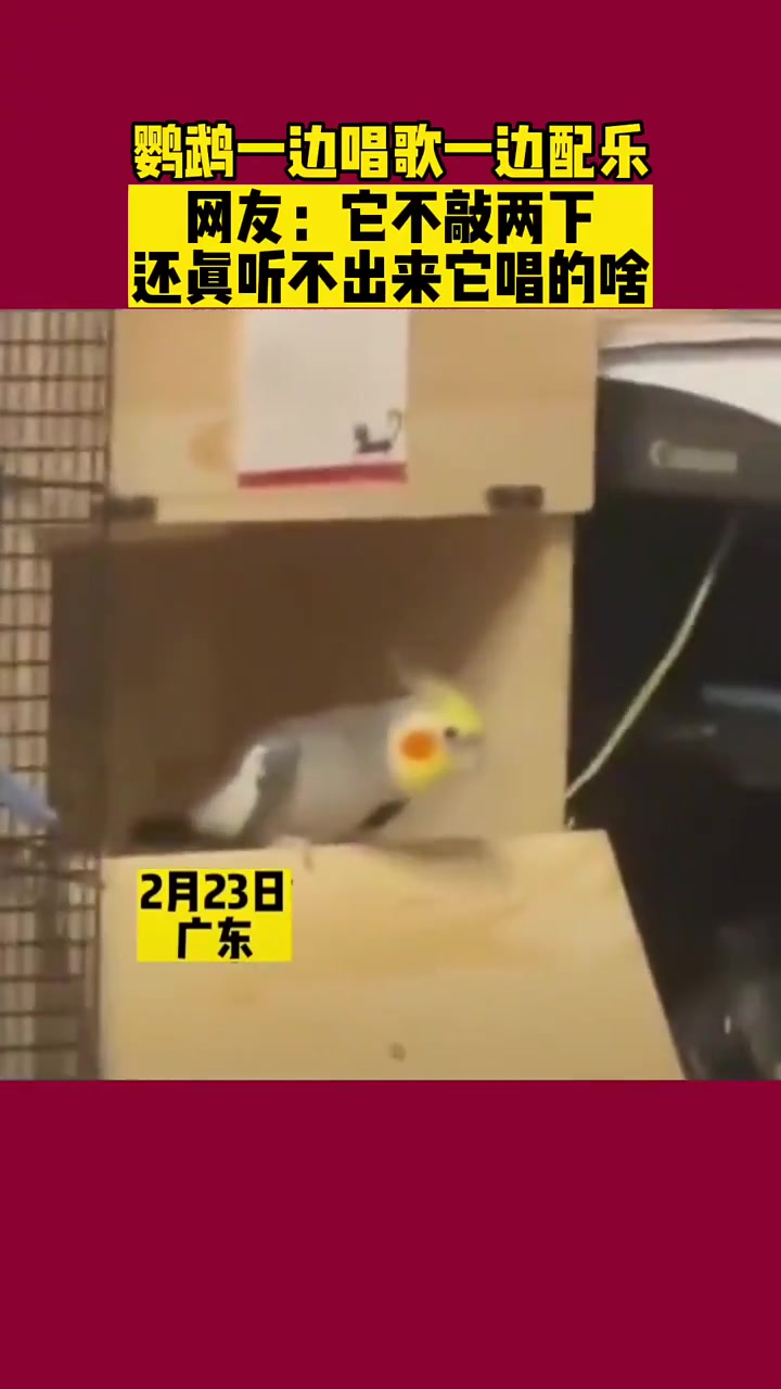 如果感到开心你就拍拍手！！！