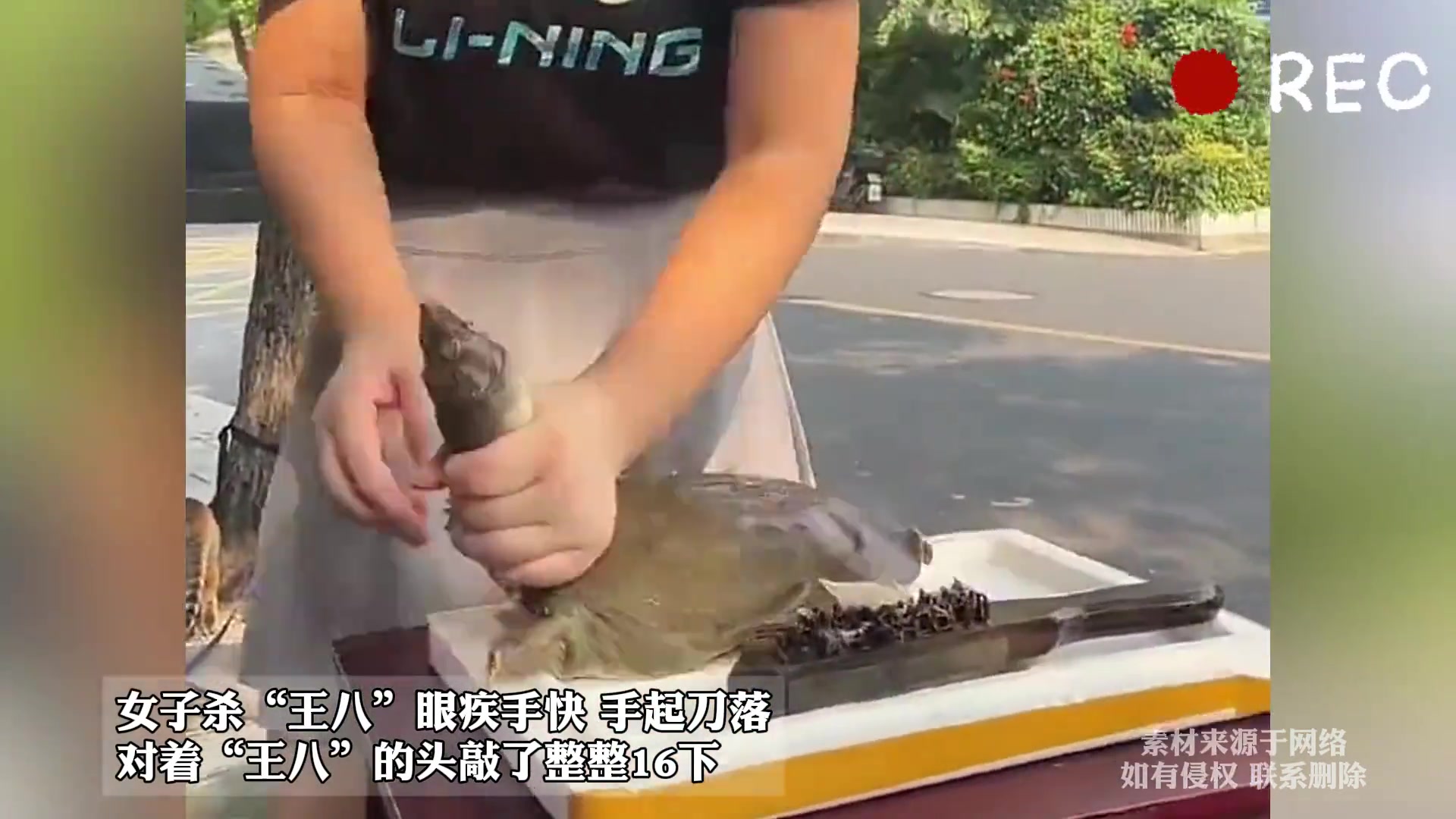 女子杀“王八”眼疾手快