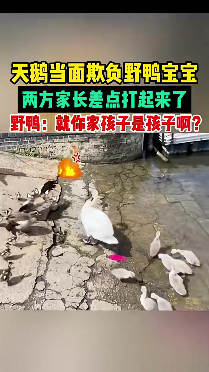 哈哈哈，两方家长差点动手！