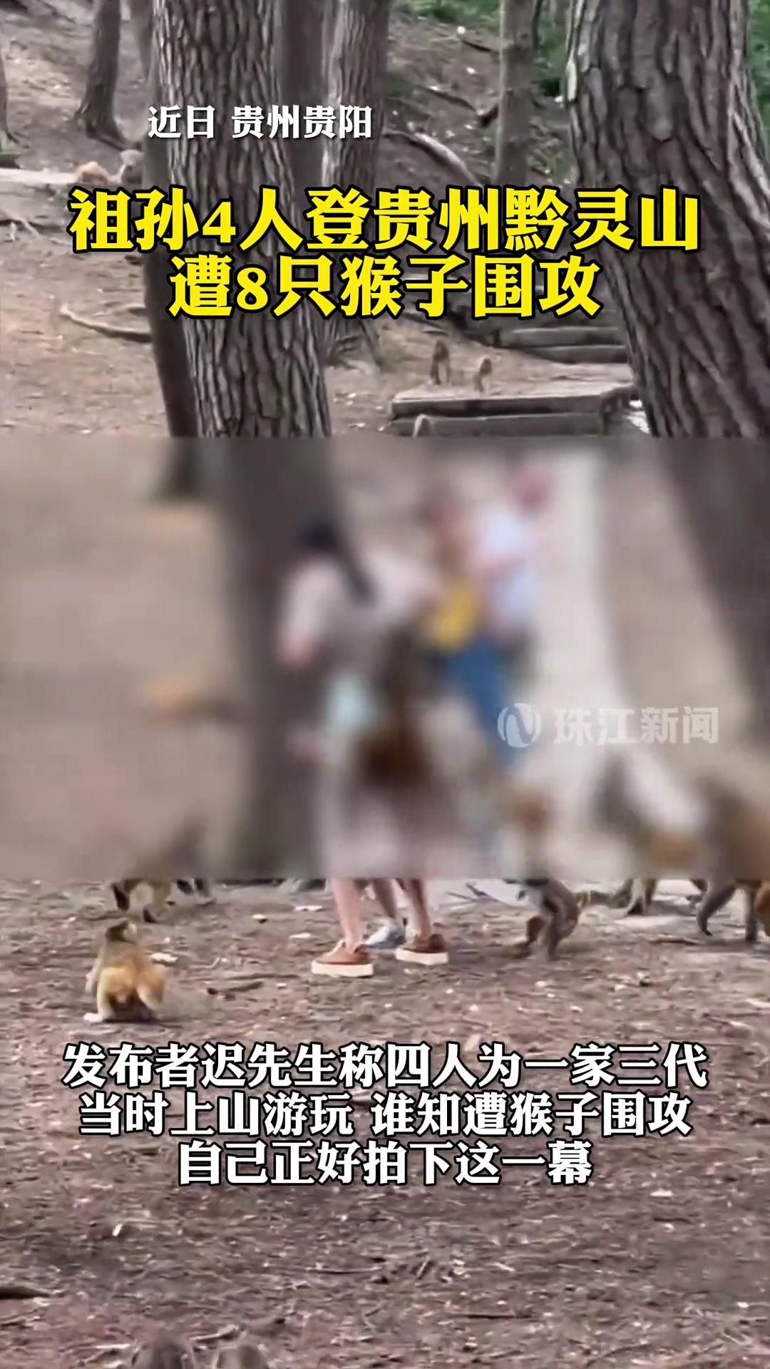 八大门派围攻光明顶这打也不是，不打又难受！太折磨