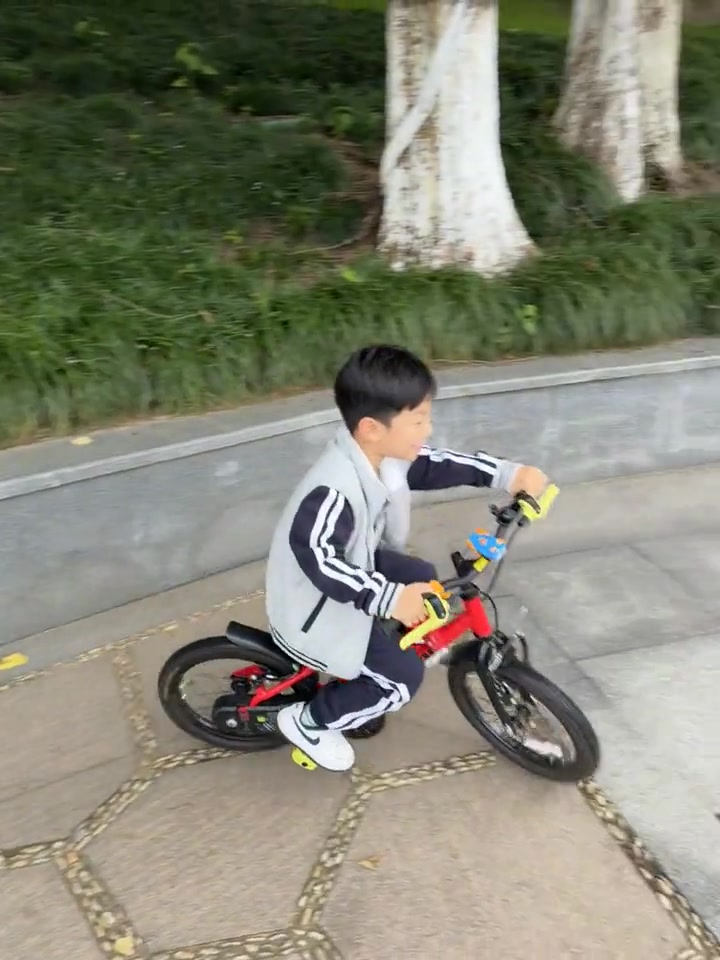 悬着的心终于还是放下了