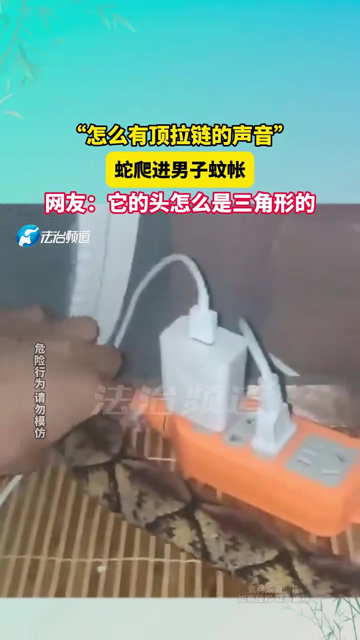 “怎么有顶拉链的声音”蛇爬进男子蚊帐！