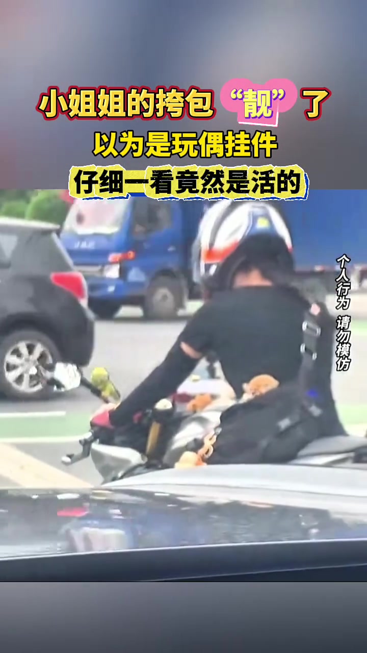 小姐姐的挎包“靓”了以为是玩偶挂件仔细一看竟然是活的！