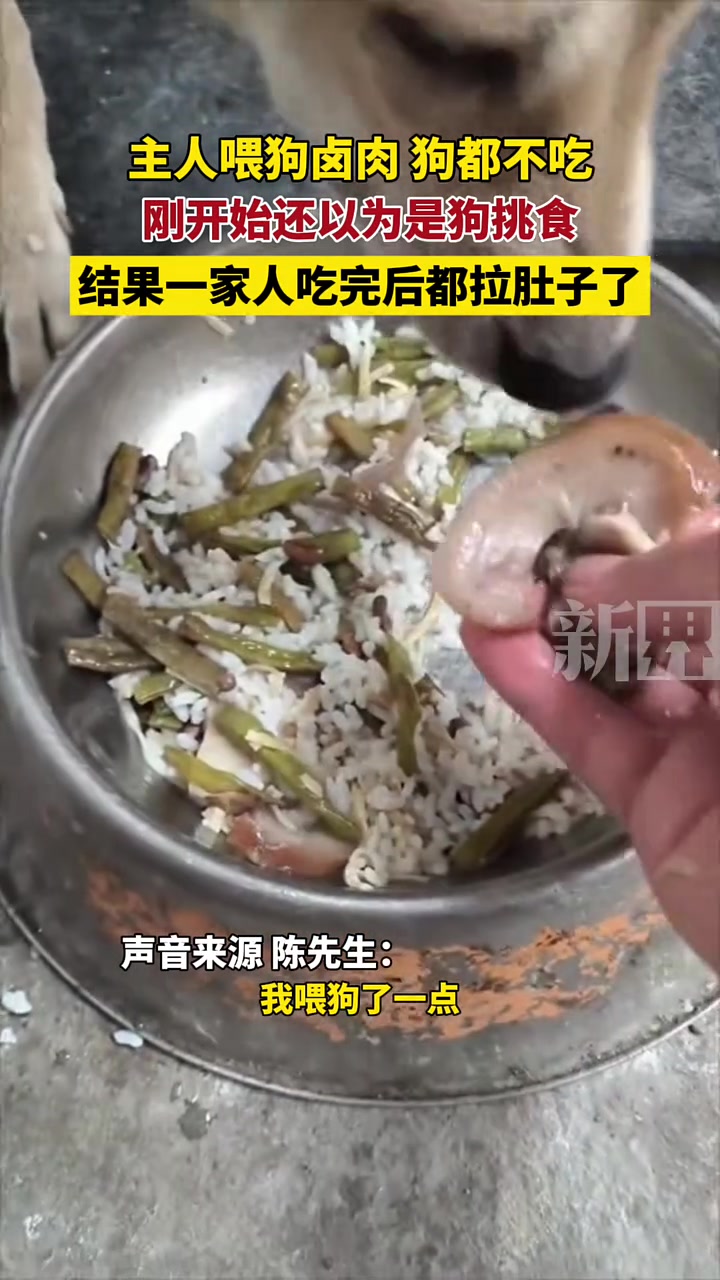 这才是真正的狗不理！这玩意你敢吃下去