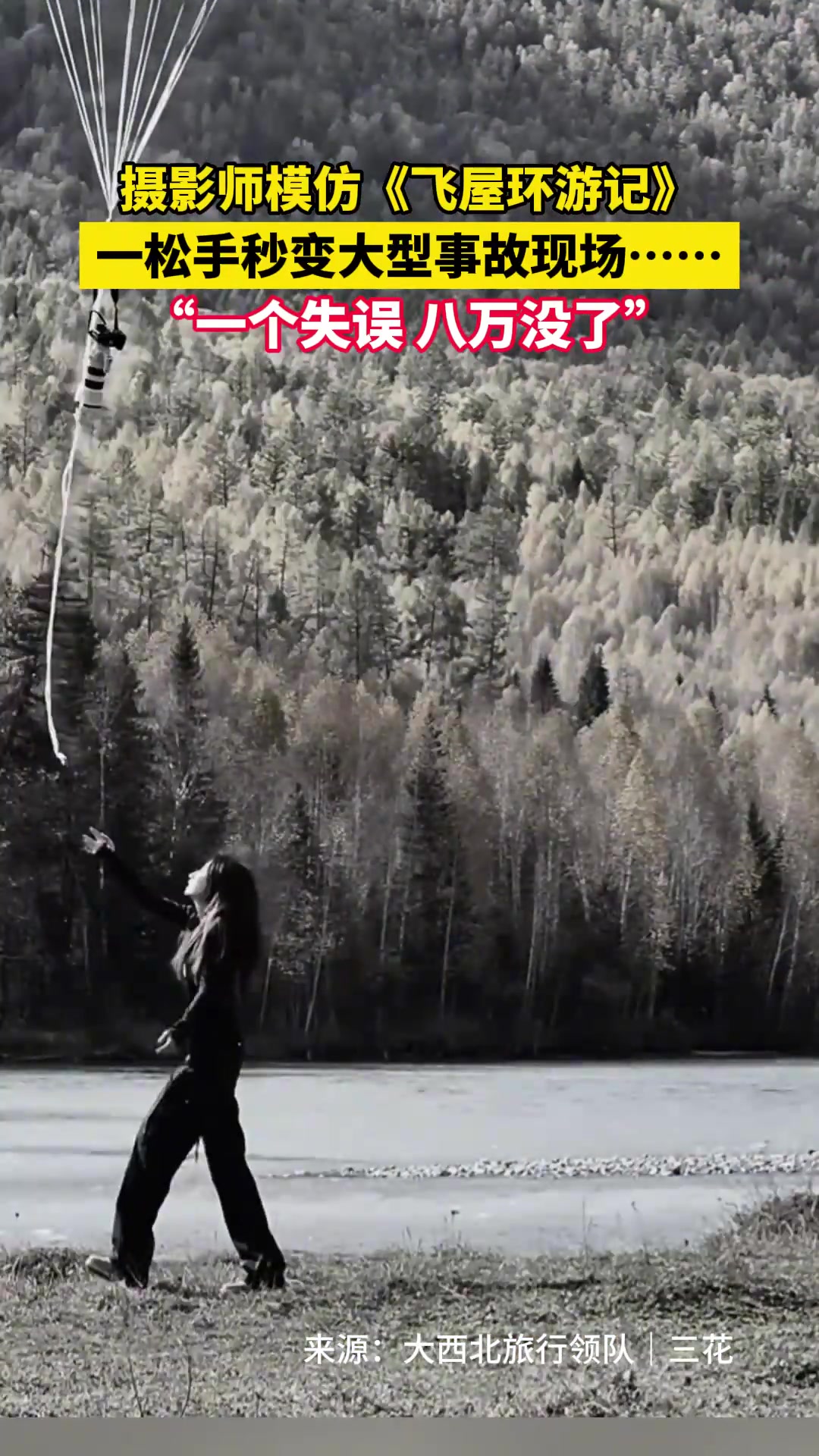 摄影师模仿《飞屋环游记》一松手秒变大型事故现场