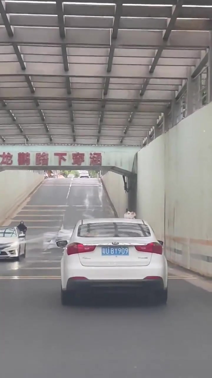 到底兜了多远的路