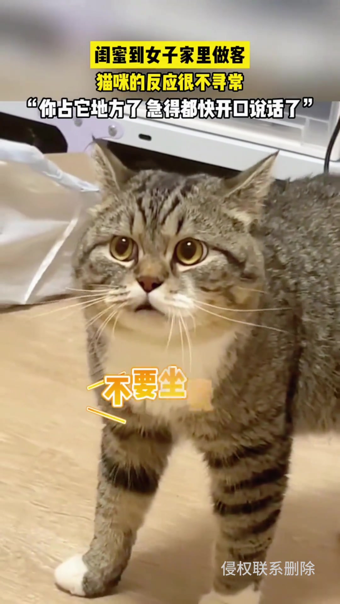 它应该骂的很难听吧