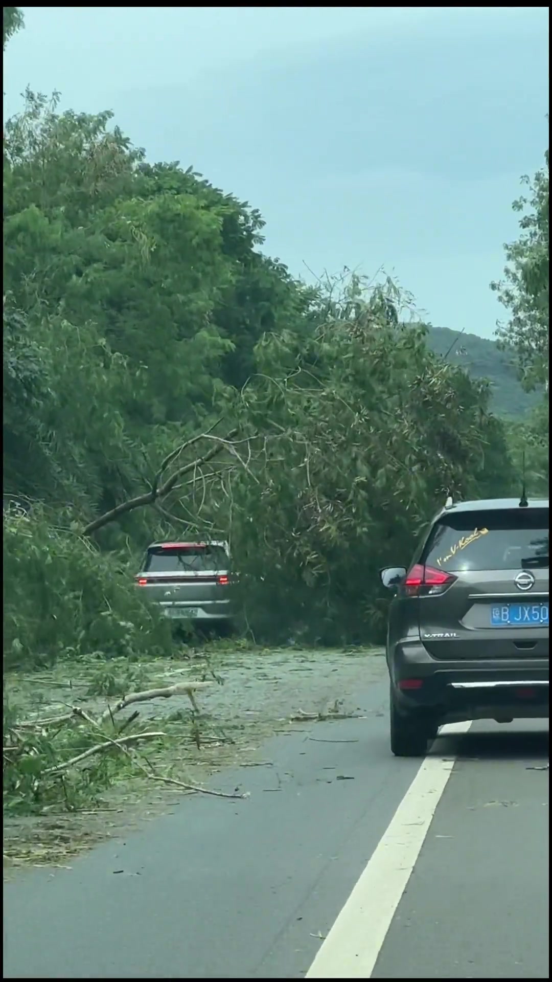 这是什么操作哈哈哈