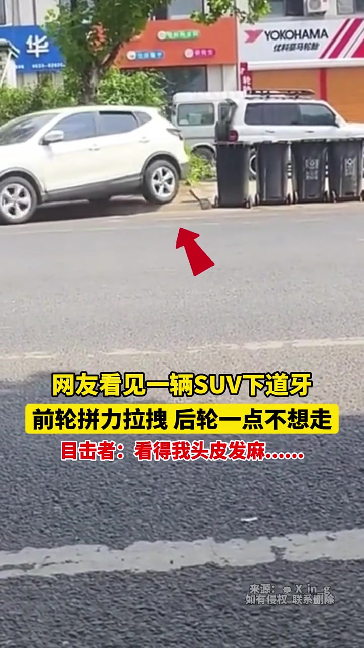 网友看见一辆SUV下道牙，前轮拼力拉拽，后轮一点不想走！！