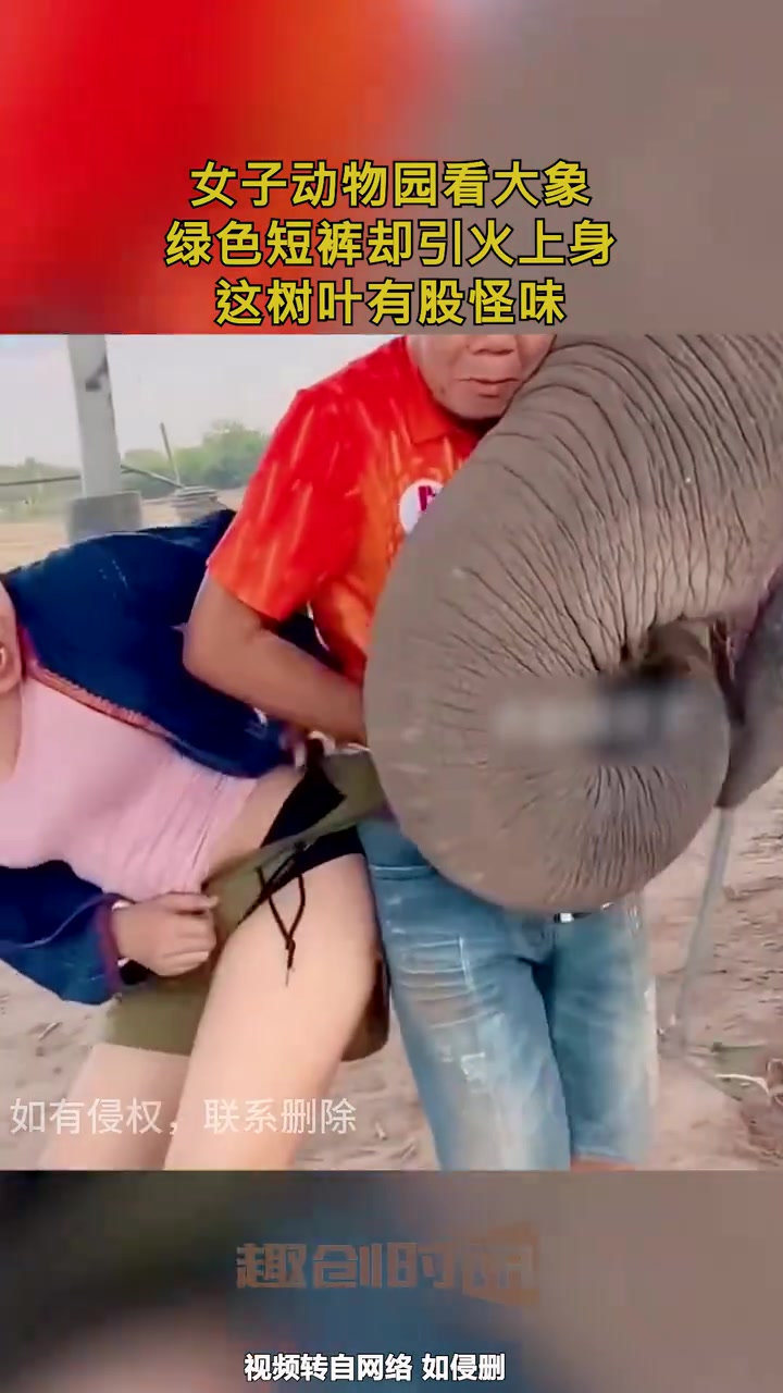 女子动物园看大象，却引火上身！！