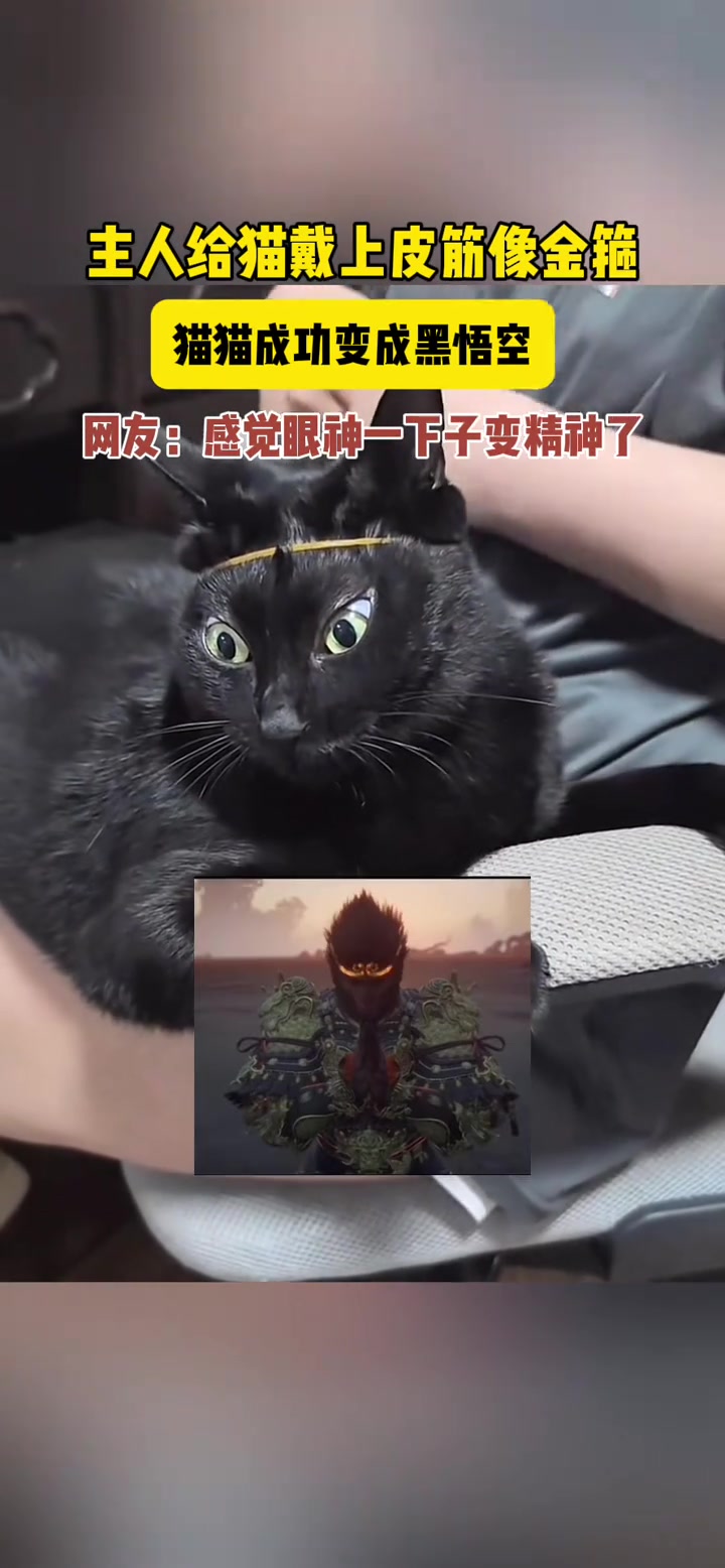 体会猴哥当年被师傅念紧箍咒时的痛苦吧