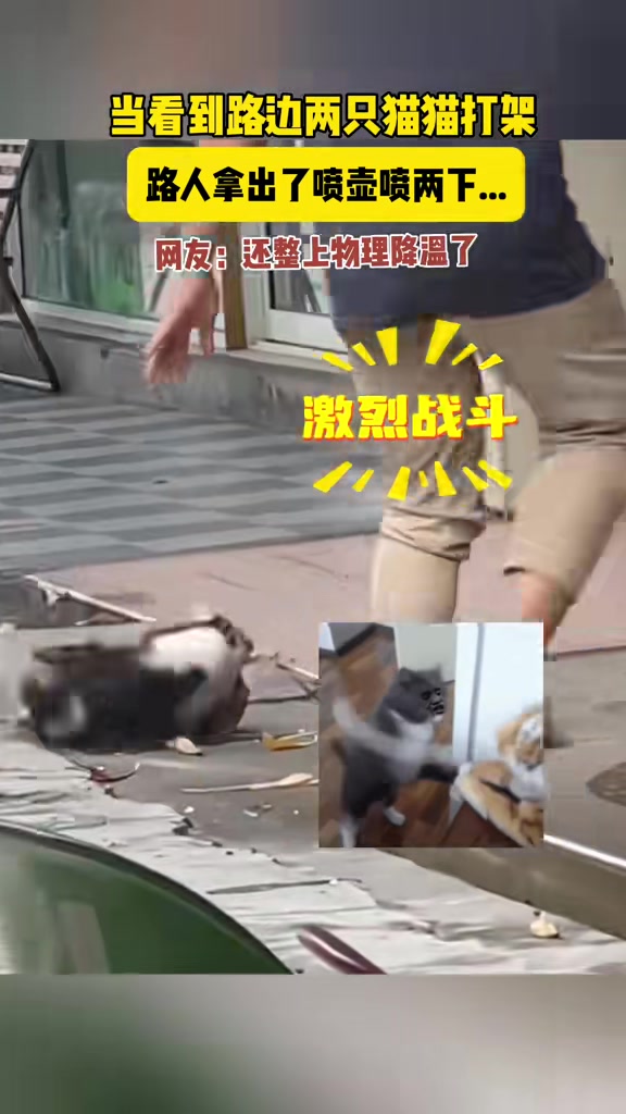大家都冷静冷静物理