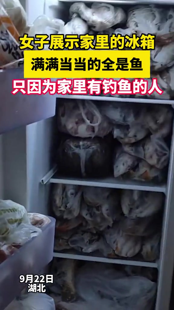 有点水平啊这钓鱼佬，已经整一冰箱了