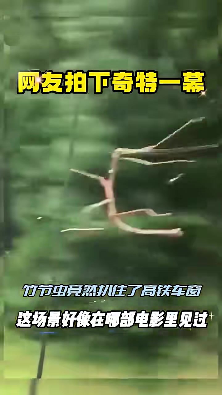哥们这是去哪里，火急火燎的