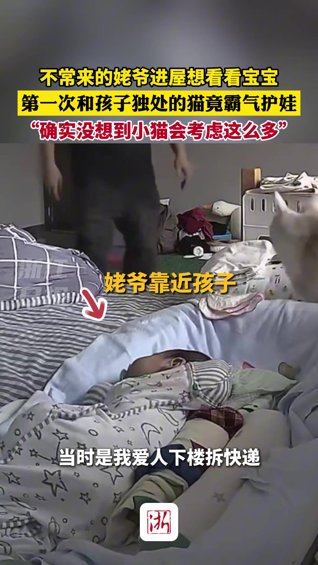 不常来的姥爷进屋想看看宝宝，第一次和孩子独处的猫竟霸气护娃！