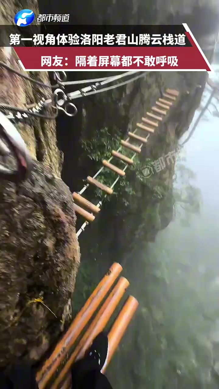 第一视角体验老君山腾云栈道，隔着屏幕都腿软啊