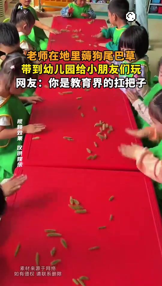 老师在地里薅狗尾巴草带到幼儿园给孩子们玩