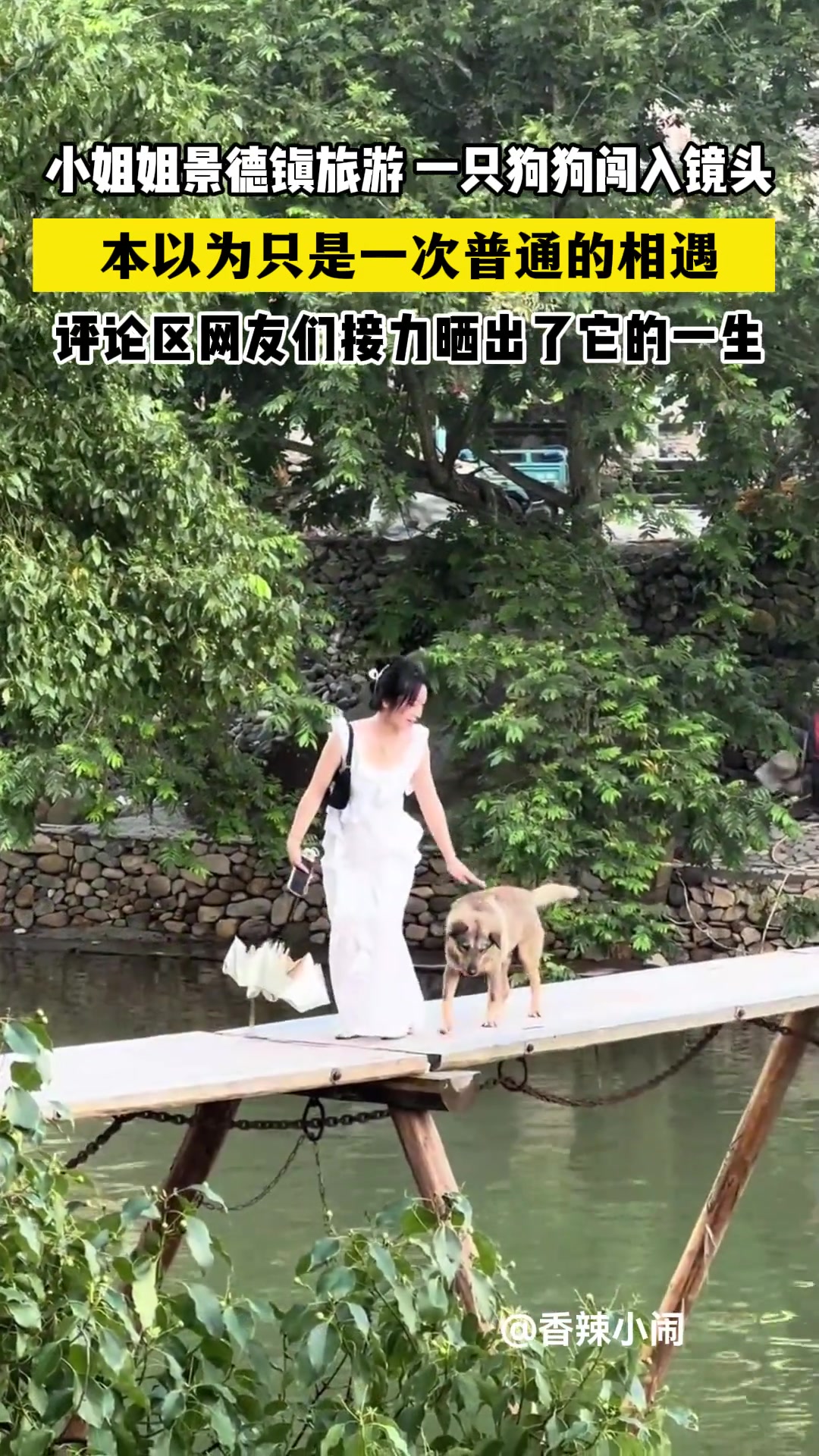 照片让瞬间成了永恒