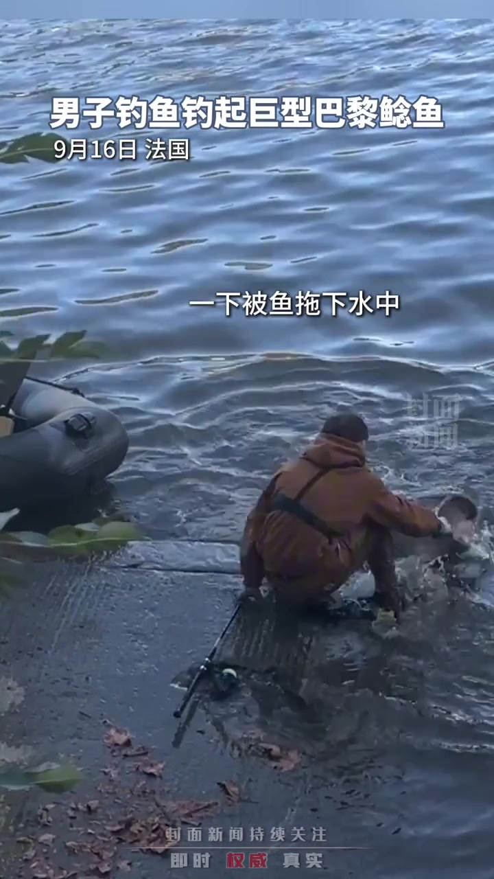 太大了一锅炖不下！！男子钓鱼钓起巨型巴黎鲶鱼！！