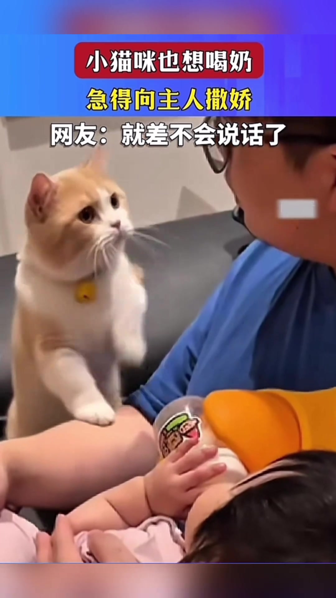 都是自己的孩子，可得把一碗水端平