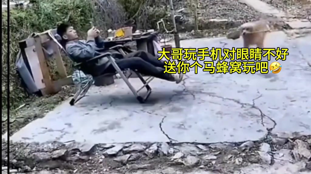 小孩静悄悄必定在做妖，狗子静悄悄也是在做妖！