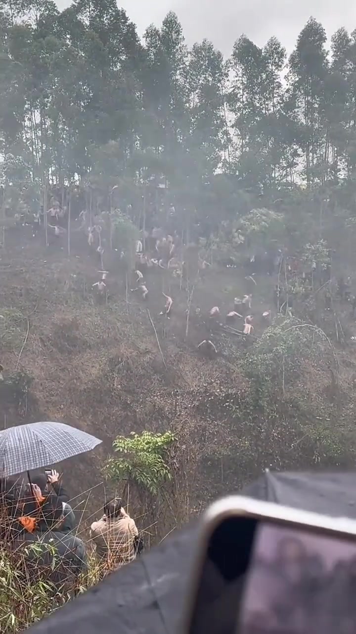 开始我还以为是山上放养的鸡