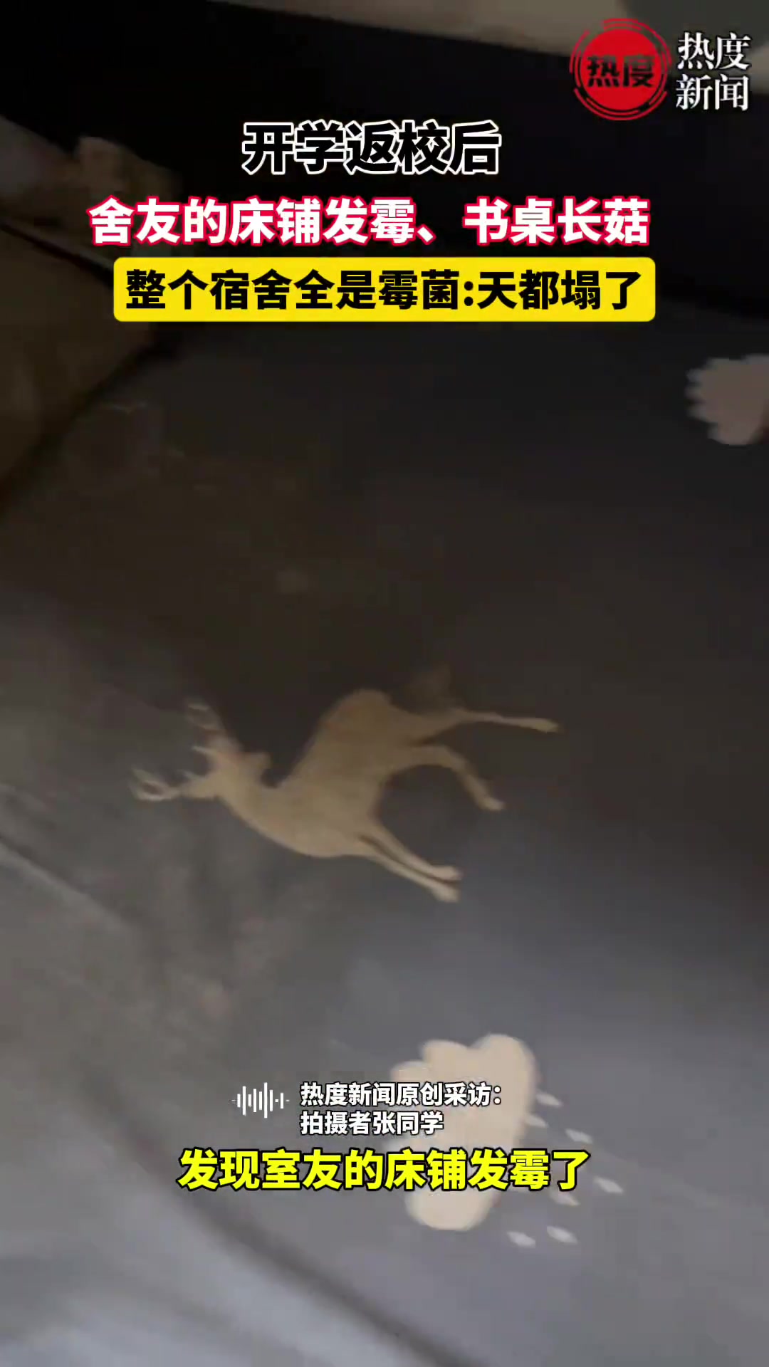 开学返校后，舍友的床铺发霉、书桌长菇，整个宿舍全是霉菌