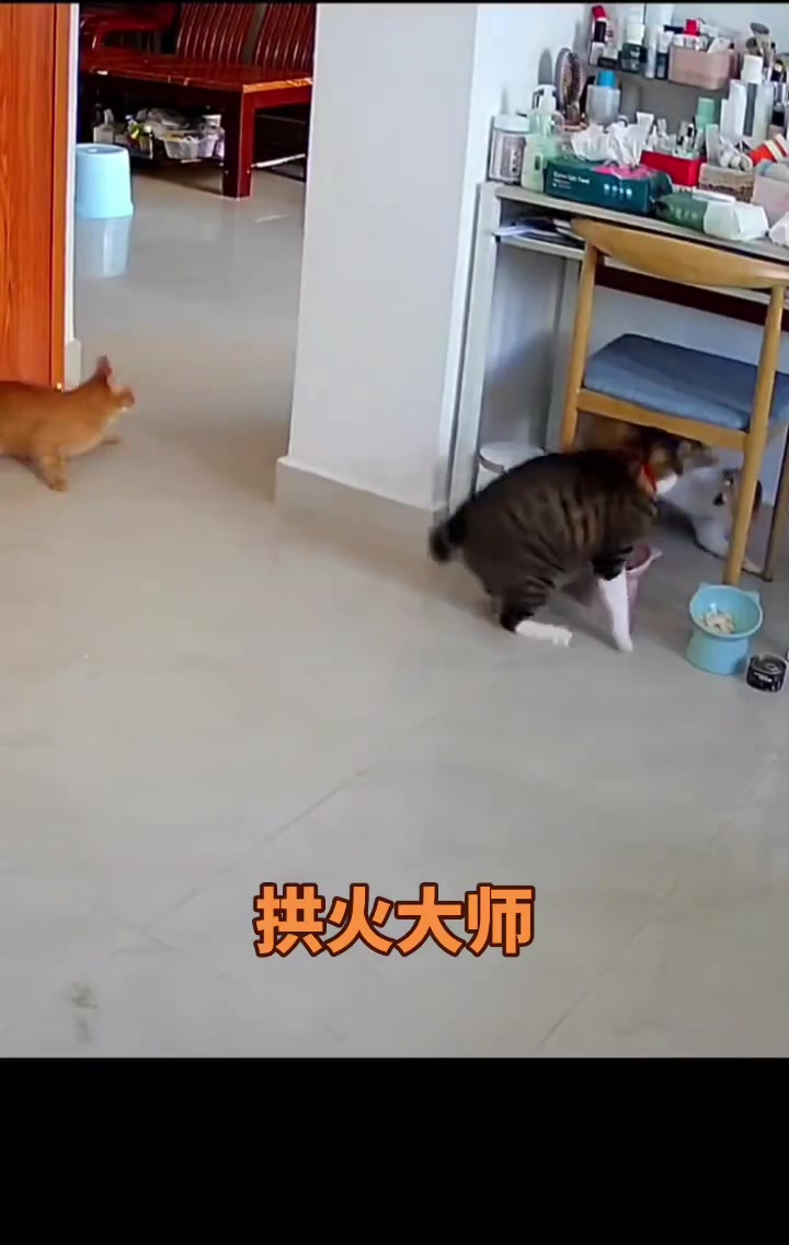 一时不知道该先看谁