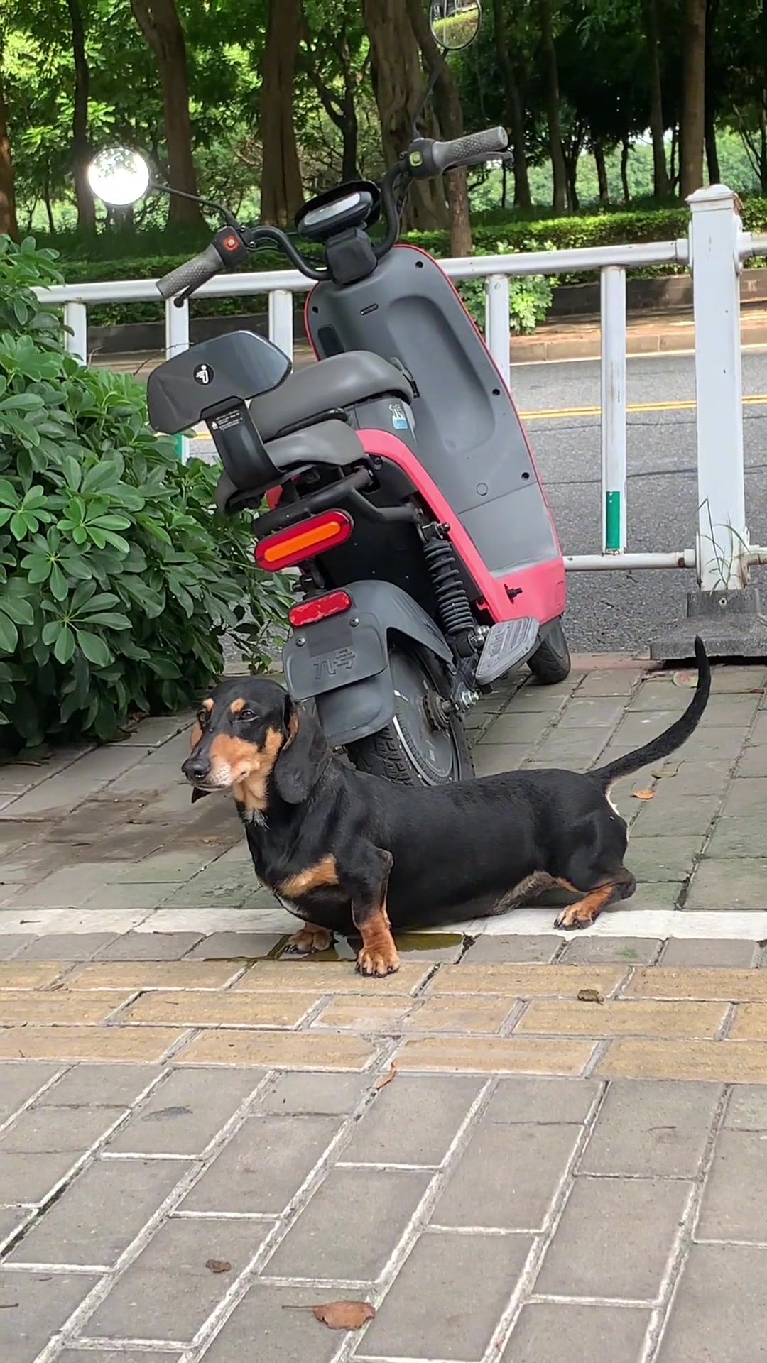 尿泡尿都能把自己淹死哈哈