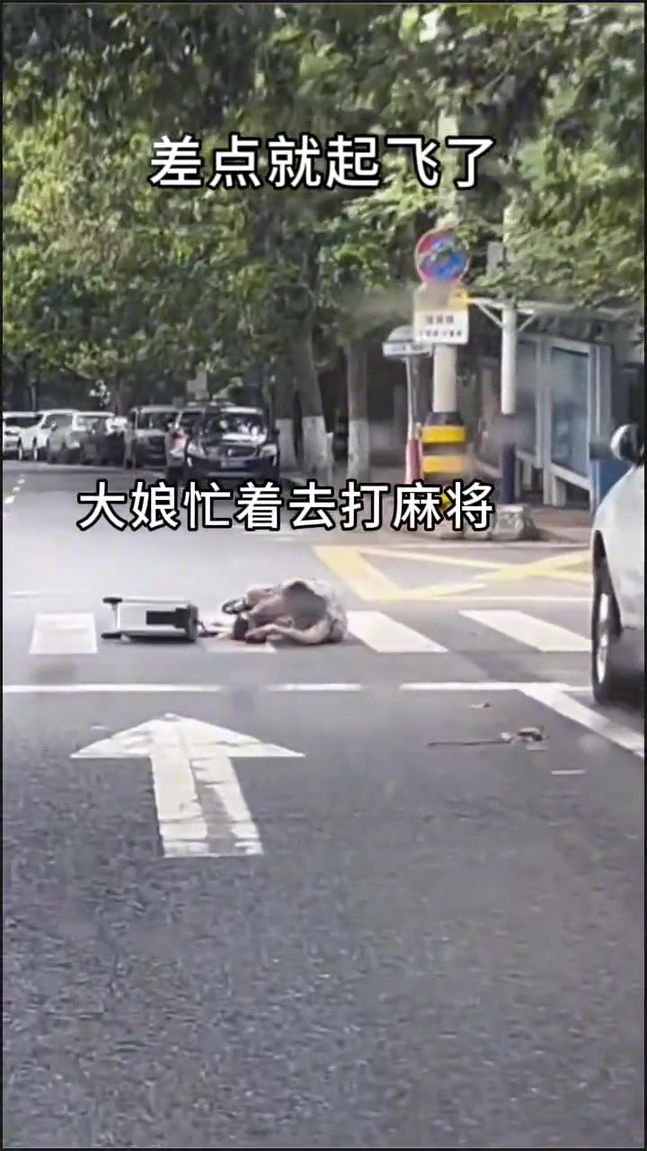 我承认我慌了，从大娘的眼中看出我跑不脱了