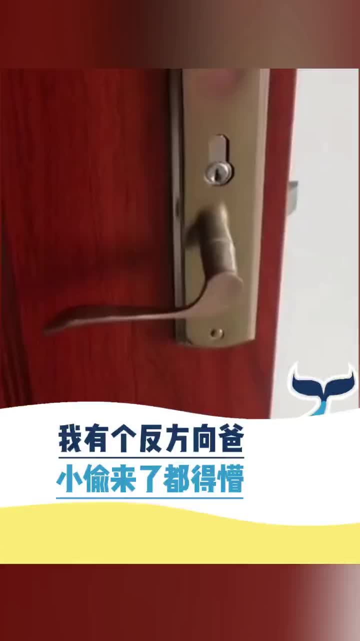 我有个反方向爸小偷来了都得懵！！！