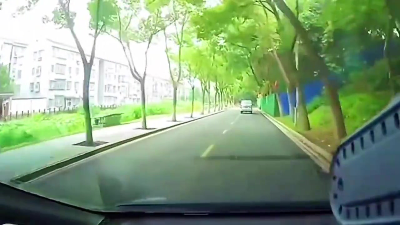 我滴妈，这是什么品种