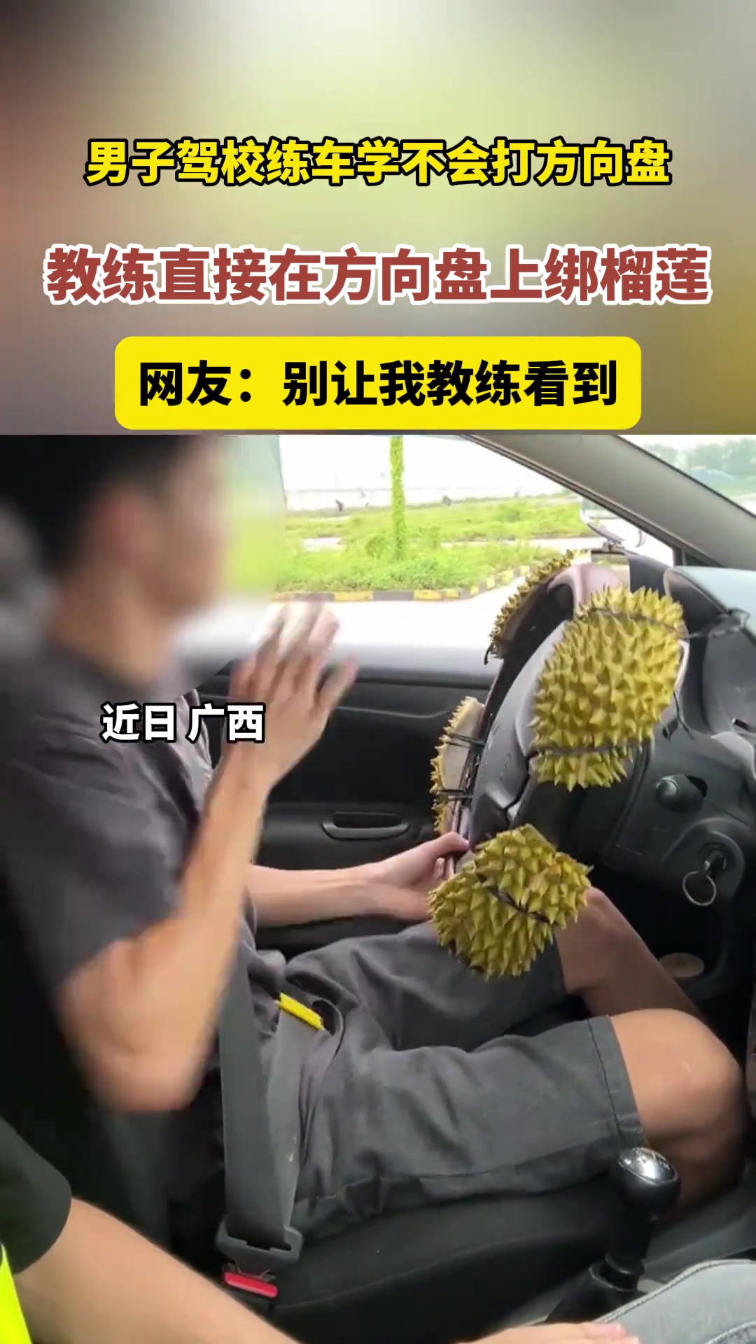 教练我要一天一个榴莲