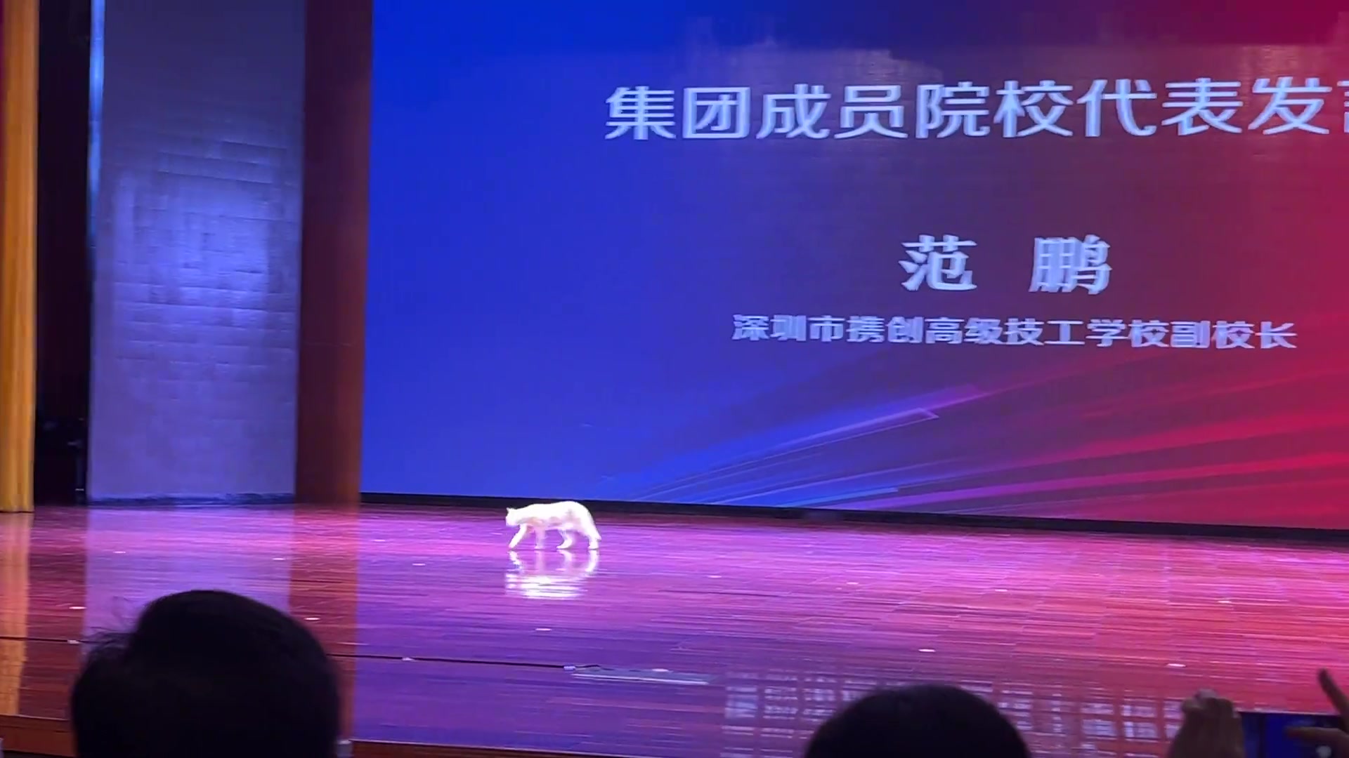 猫校：尽说些没用的下面由我来喵几句