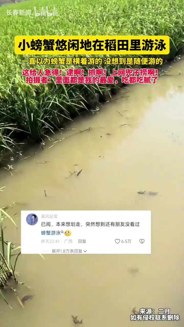 一直以为螃蟹是横着游的，没想到是随便游的