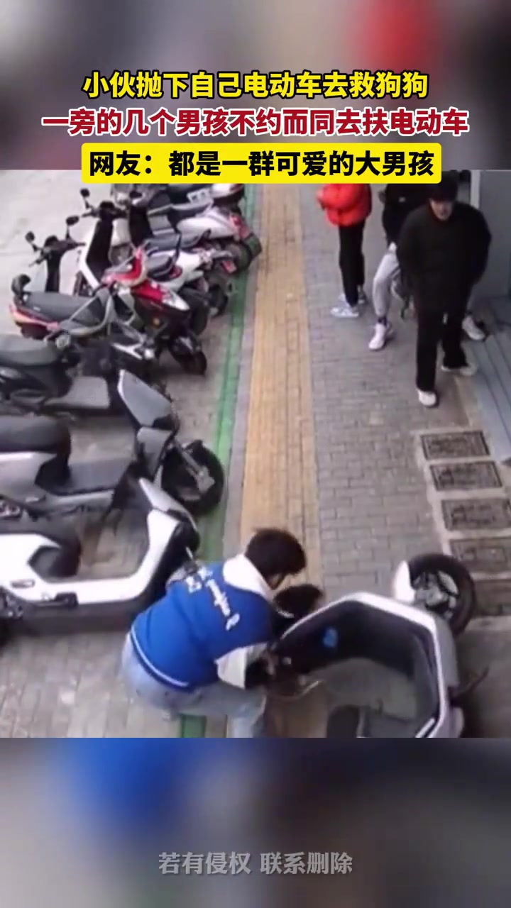 小伙抛下自己电动车去救狗狗一旁的几个男孩不约而同去扶电动车