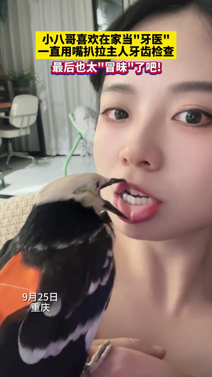 你多少有点不礼貌了，小八哥！！