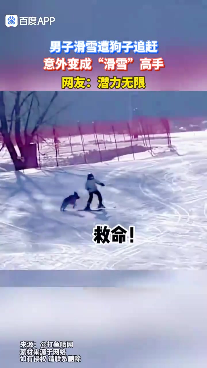 男子滑雪遭狗子追赶，意外变成“滑雪”高手