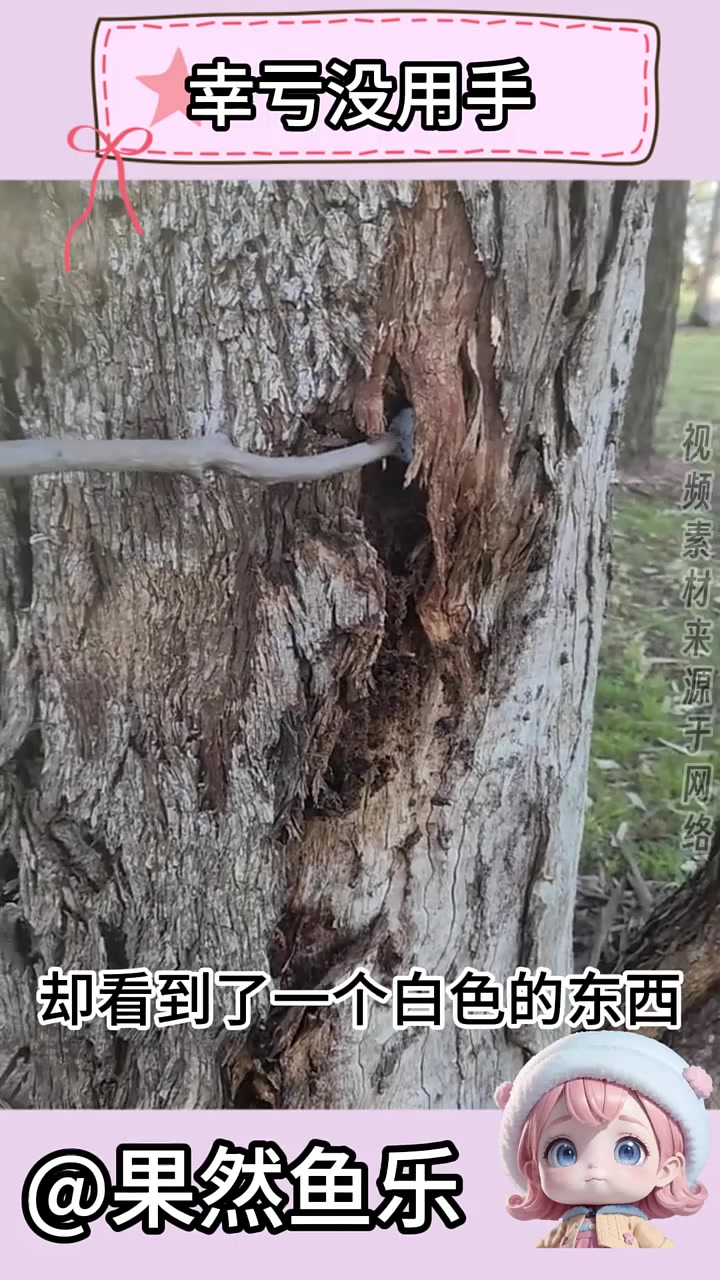 这是捅了盘丝洞和恐怖片里的场景一样！