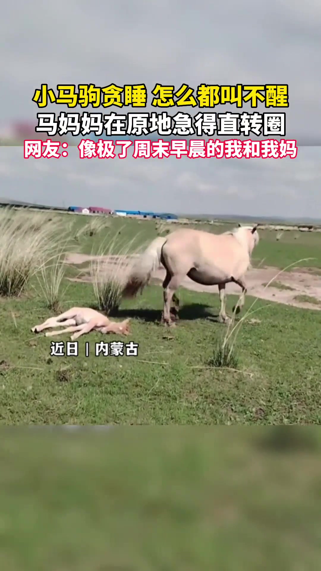 儿子你再不起来我要怀疑你是不是死了！