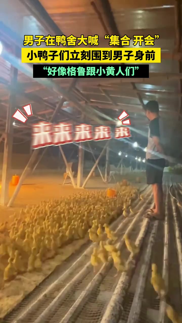 不是，哥们你给鸭子们军训过还是练过言灵啊！