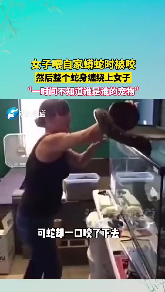 女子喂自家蟒蛇时被咬，然后整个蛇身缠绕上女子！