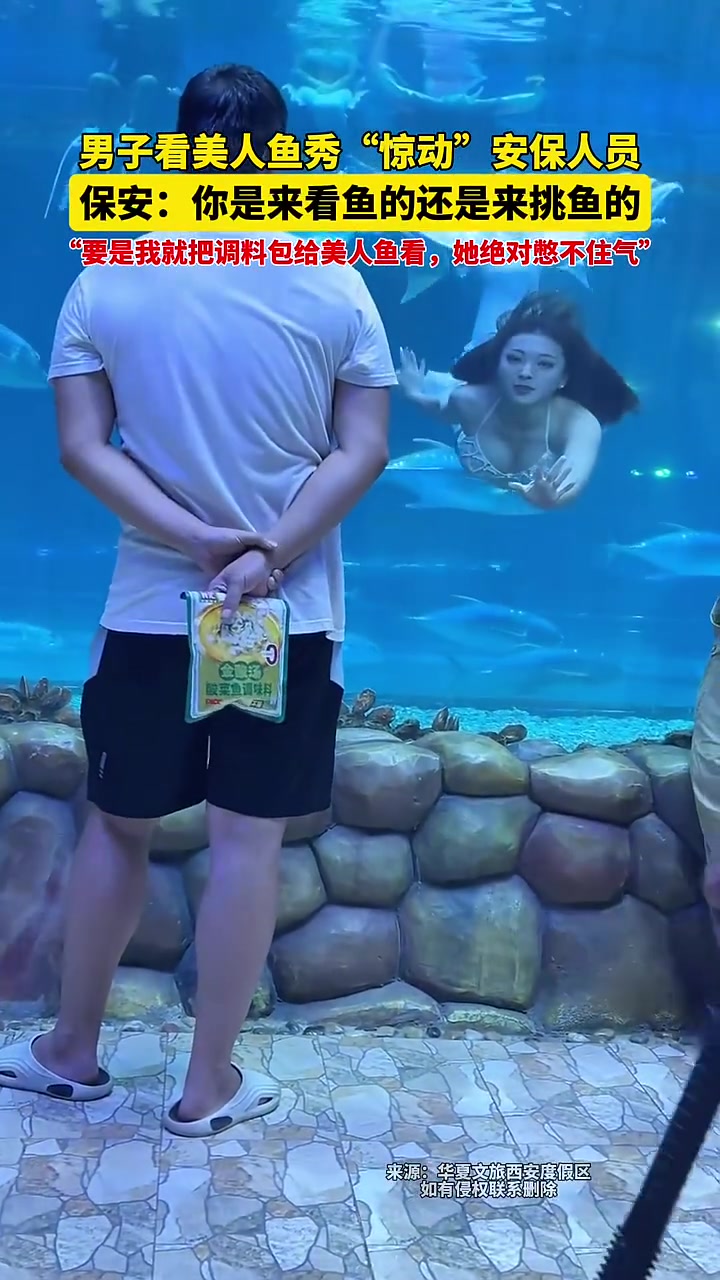 你小子来看美人鱼还带调料包呢想干啥